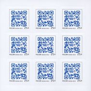  2012. 1634. XXII Олимпийские зимние игры 2014 года в г.Сочи. Марка с QR-кодом. Лист, фото 1 