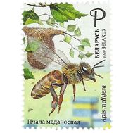  2020. Беларусь. 1373. Пчеловодство в Беларуси, фото 1 