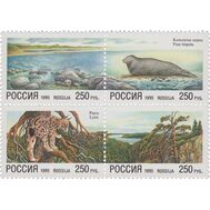  1995. 203-206. Природа. Совместный выпуск России и Финляндии. Сцепка, фото 1 