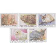  1996. 266-270. Домашние кошки. 5 марок, фото 1 