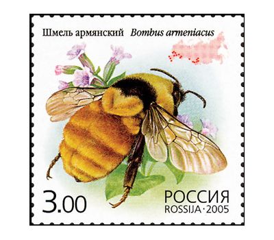  5 почтовых марок «Фауна. Насекомые» 2005, фото 2 