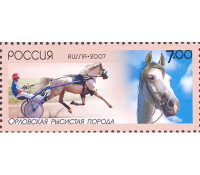  4 почтовые марки «Отечественные породы лошадей» 2007, фото 3 