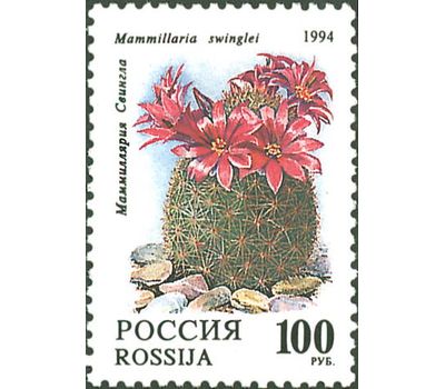  5 почтовых марок «Комнатные растения. Кактусы» 1994, фото 3 