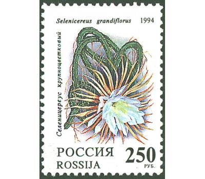  5 почтовых марок «Комнатные растения. Кактусы» 1994, фото 6 