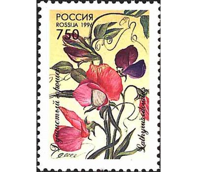  5 почтовых марок «Декоративные растения скверов, садов и парков» 1996, фото 4 