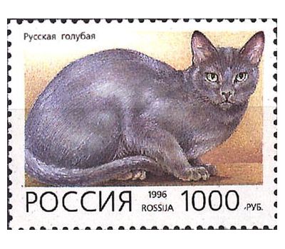  5 почтовых марок «Домашние кошки» 1996, фото 3 
