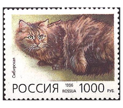  5 почтовых марок «Домашние кошки» 1996, фото 6 