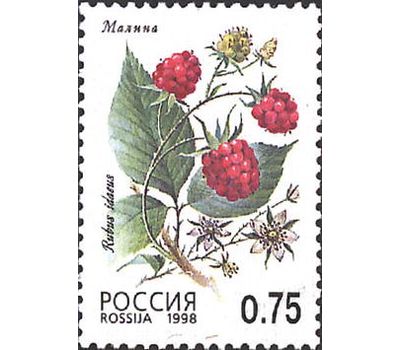  5 почтовых марок «Флора. Лесные ягоды» 1998, фото 3 
