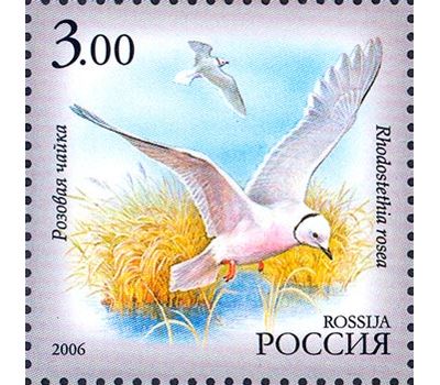  5 почтовых марок «Фауна Республики Саха (Якутия)» 2006, фото 2 