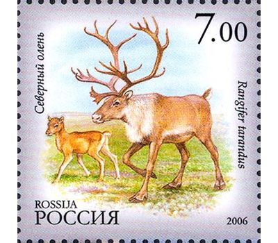 5 почтовых марок «Фауна Республики Саха (Якутия)» 2006, фото 6 