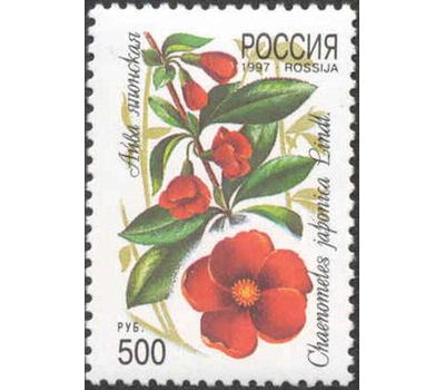  5 почтовых марок «Декоративные кустарники России» 1997, фото 2 