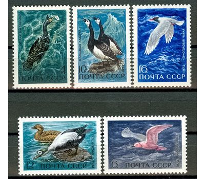  5 почтовых марок «Пернатые — обитатели побережий морей и океанов» СССР 1972, фото 1 