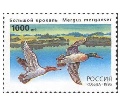 3 почтовые марки «Утки» 1995, фото 4 
