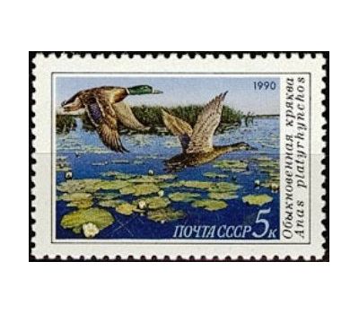  3 почтовые марки «Утки» СССР 1990, фото 2 