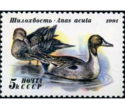  3 почтовые марки «Утки» СССР 1991, фото 2 