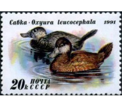  3 почтовые марки «Утки» СССР 1991, фото 4 