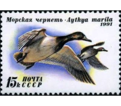  3 почтовые марки «Утки» СССР 1991, фото 3 