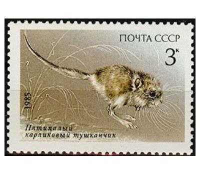  5 почтовых марок «Животные, занесенные в Красную книгу» СССР 1985, фото 5 