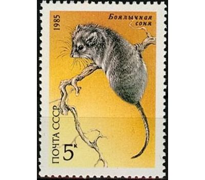  5 почтовых марок «Животные, занесенные в Красную книгу» СССР 1985, фото 3 