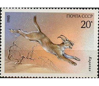  5 почтовых марок «Животные, занесенные в Красную книгу» СССР 1985, фото 4 