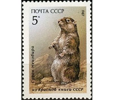  3 почтовые марки «Млекопитающие, занесенные в Красную книгу» СССР 1987, фото 2 