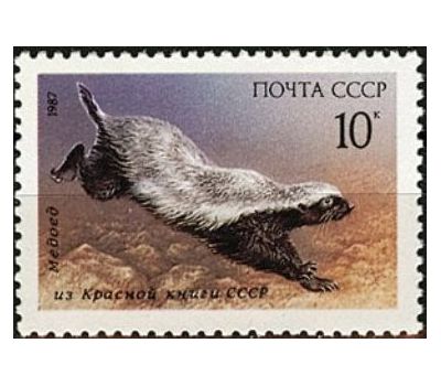  3 почтовые марки «Млекопитающие, занесенные в Красную книгу» СССР 1987, фото 3 