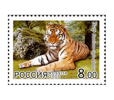  Сцепка «Фауна. Совместный выпуск Россия-КНДР» 2005, фото 3 