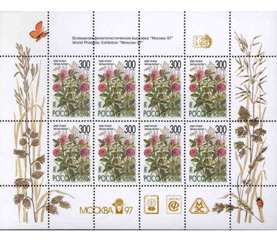  2 малых листа «Полевые цветы России» 1995 (с надпечаткой и без), фото 2 