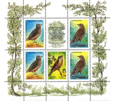  2 малых листа «Певчие птицы России» 1995, фото 2 