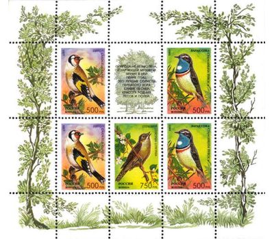  2 малых листа «Певчие птицы России» 1995, фото 3 