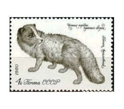  5 почтовых марок «Ценные породы пушных зверей» СССР 1980, фото 2 