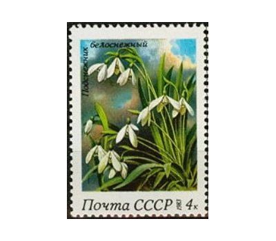  5 почтовых марок «Весенние цветы» СССР 1983, фото 2 
