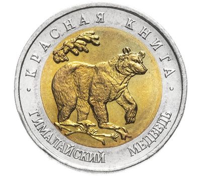  Монета 50 рублей 1993 «Красная книга: Гималайский медведь», фото 1 