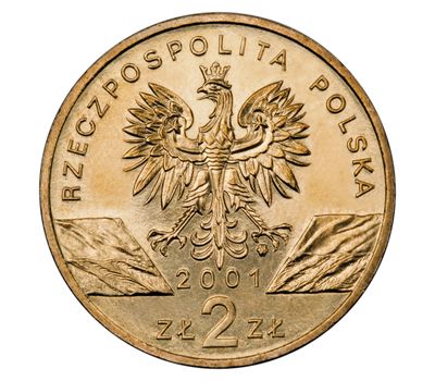  Монета 2 злотых 2001 «Махаон (Papilio machano)» Польша, фото 2 