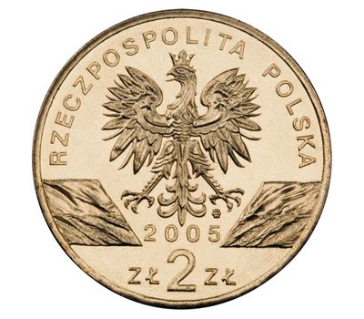  Монета 2 злотых 2005 «Филин (Bubo bubo)» Польша, фото 2 