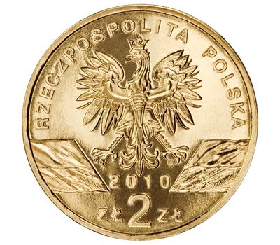  Монета 2 злотых 2010 «Малый подковонос» Польша, фото 2 