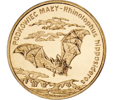  Монета 2 злотых 2010 «Малый подковонос» Польша, фото 1 