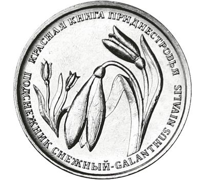  Монета 1 рубль 2020 «Подснежник снежный (Красная книга)» Приднестровье, фото 1 