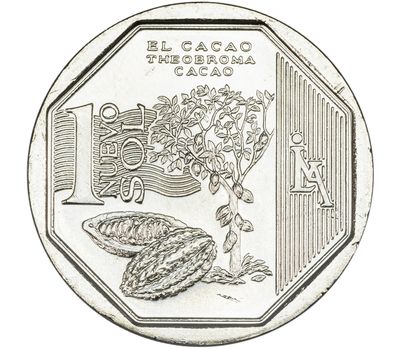 Монета 1 соль 2013 «Какао» Перу, фото 1 