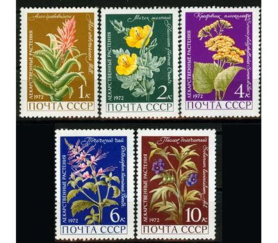  5 почтовых марок «Лекарственные растения» СССР 1972, фото 1 