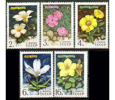  5 почтовых марок «Цветы гор Сибири» СССР 1977, фото 1 