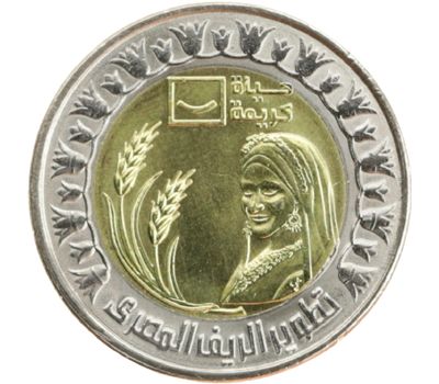  Монета 1 фунт 2021 «Сельское хозяйство. Развитие египетской деревни» Египет, фото 1 