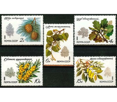  5 почтовых марок «Охраняемые породы деревьев и кустарников» СССР 1980, фото 1 