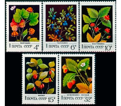  5 почтовых марок «Дикорастущие ягоды» СССР 1982, фото 1 