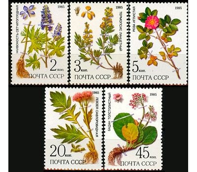  5 почтовых марок «Лекарственные растения Сибири» СССР 1985, фото 1 