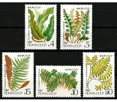  5 почтовых марок «Флора. Папоротники» СССР 1987, фото 1 