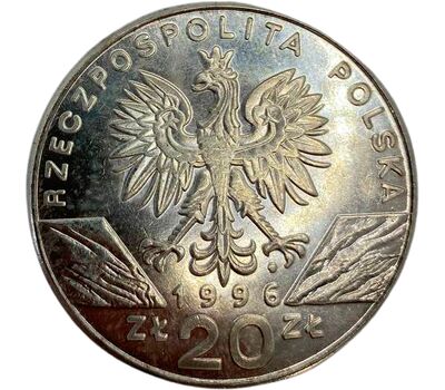  Монета 20 злотых 1996 «Ежата» Польша (копия), фото 2 