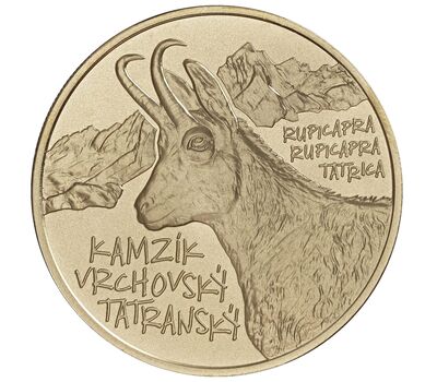  Монета 5 евро 2022 «Фауна и флора — Татранская серна» Словакия, фото 1 