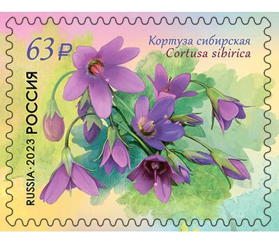  4 почтовые марки «Флора России. Первоцветные» 2023, фото 3 