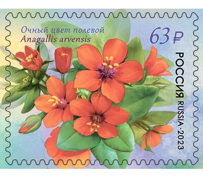  4 почтовые марки «Флора России. Первоцветные» 2023, фото 4 